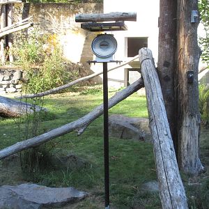 Condors of the Columbia (New in 2014) - Bird Scale