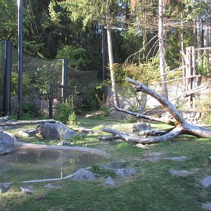 Condors of the Columbia (New in 2014)