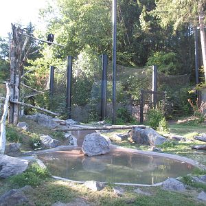 Condors of the Columbia (New in 2014)