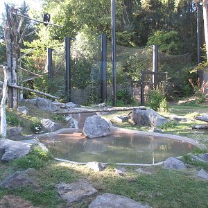 Condors of the Columbia (New in 2014)