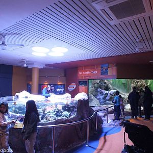 View of Far North Coast Section