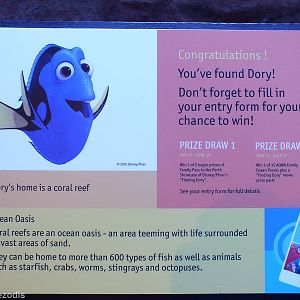 Finding Dory Sign