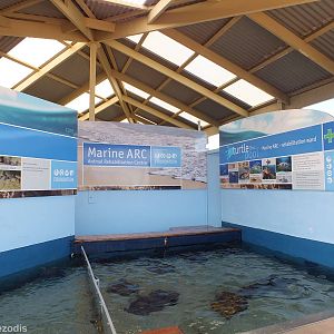 Marine ARC (Animal Rehabilitation Centre)