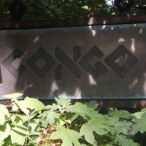 Congo Gorilla Forest Sign