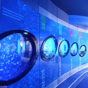 Tanks Representing the Different Sections of the Aquarium