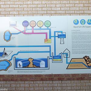 Interesting Sign about the Aquarium Life Support Systems