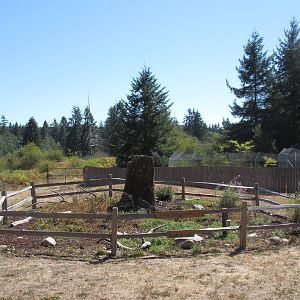 Display Outside Wolf Haven