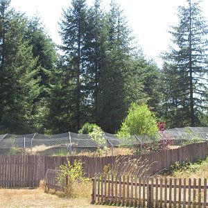 Exterior of Wolf Haven