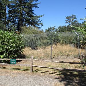 Mexican Grey Wolf Exhibit