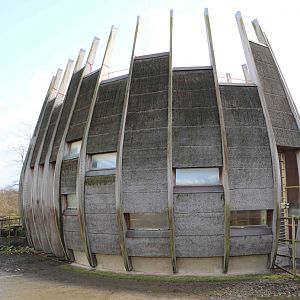 Giraffe house, February 2016