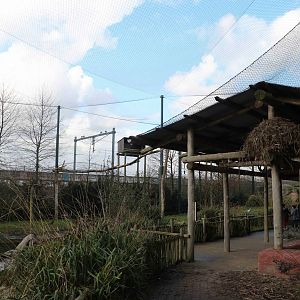 Vulture aviary, February 2016