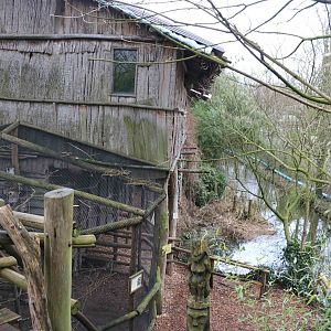 Longhouse, February 2016