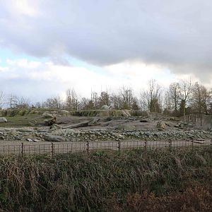Polar bear enclosure, February 2016