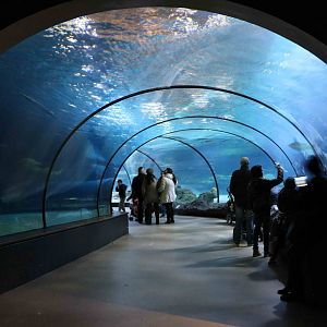 Oceanium ocean tunnel, February 2016