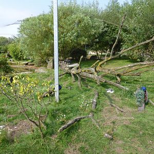 Himalaya Falls aviary