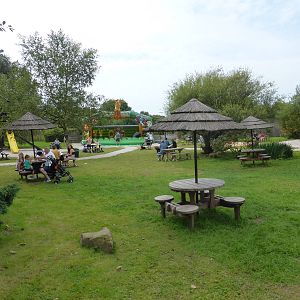 Old Blackbrook waterfowl area .