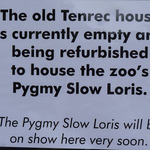 Tenrec or Slow Loris House Sign, August 2016
