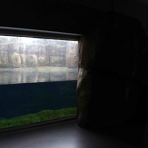 Old sea otter enclosure? February 2016