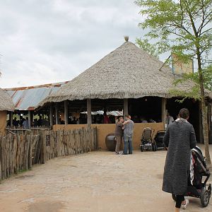 SERENGA : Waiting row Safari truck