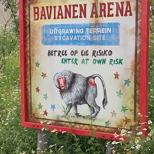 SERENGA : Sign Baboon area