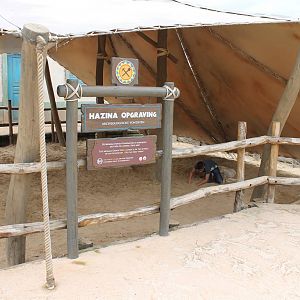 SERENGA : Fossil digging site