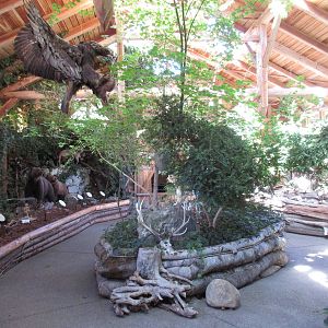 North Island Wildlife Recovery Centre - Museum of Nature