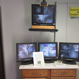 North Island Wildlife Recovery Centre - Video Monitors for American Black B