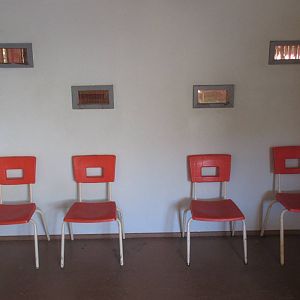 North Island Wildlife Recovery Centre - Bald Eagle Flight Cage Viewing Wind