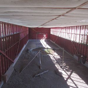 North Island Wildlife Recovery Centre - Bald Eagle Flight Cage (140 feet lo