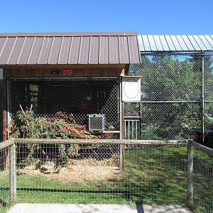 North Island Wildlife Recovery Centre - American Black Bear Exhibit