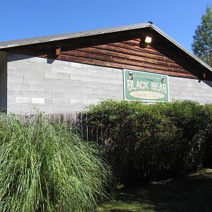 North Island Wildlife Recovery Centre - Off-Show American Black Bear Cubs