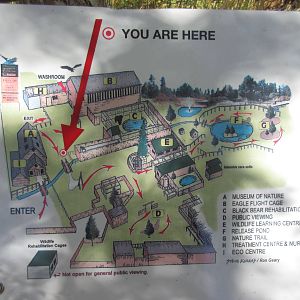 North Island Wildlife Recovery Centre - Zoo Map