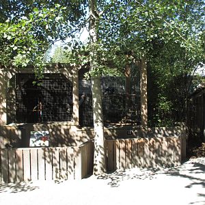 North Island Wildlife Recovery Centre - Raven Exhibit