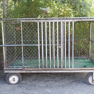 North Island Wildlife Recovery Centre - Bear Cage