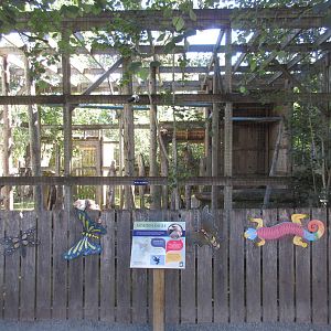 North Island Wildlife Recovery Centre - Golden Eagle Exhibit