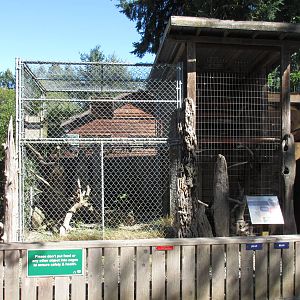 North Island Wildlife Recovery Centre - Barn Owl Exhibit
