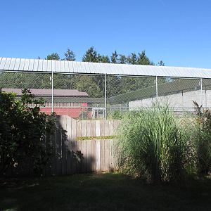 North Island Wildlife Recovery Centre - American Black Bear Exhibit