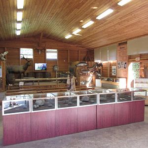 North Island Wildlife Recovery Centre - Wildlife Learning Centre