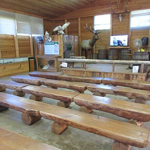 North Island Wildlife Recovery Centre - Wildlife Learning Centre