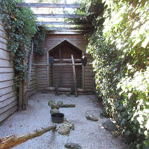 North Island Wildlife Recovery Centre - Turkey Vulture Exhibit