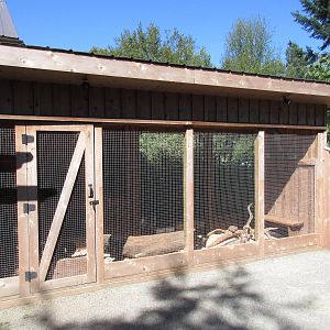 North Island Wildlife Recovery Centre - Domestic Rabbit Exhibit