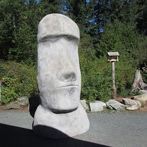 North Island Wildlife Recovery Centre - Magical Field of Stones