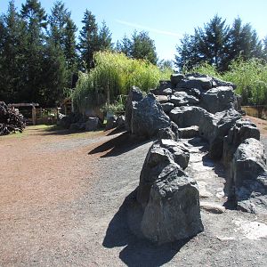 North Island Wildlife Recovery Centre - Magical Field of Stones