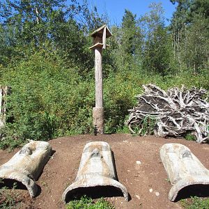 North Island Wildlife Recovery Centre - Magical Field of Stones