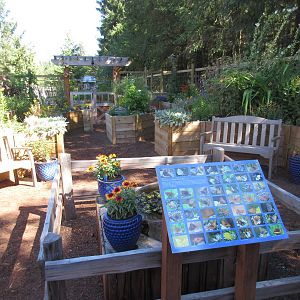 North Island Wildlife Recovery Centre - Garden