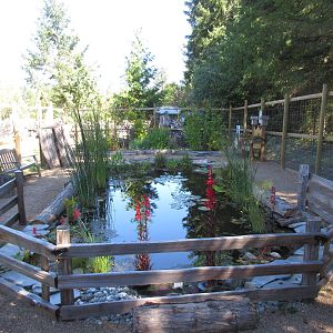 North Island Wildlife Recovery Centre - Garden Pond