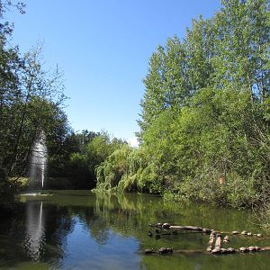 North Island Wildlife Recovery Centre - Turtle Pool (2 species)