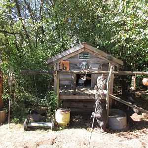 North Island Wildlife Recovery Centre - Turkey Exhibit