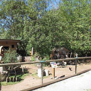 North Island Wildlife Recovery Centre - Turkey Exhibit