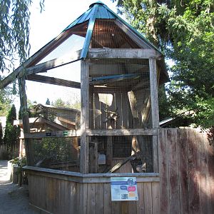 North Island Wildlife Recovery Centre - Great Horned Owl Exhibit